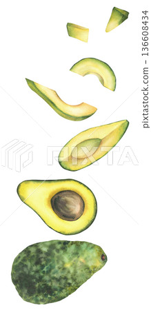 Avocado slices and whole fruit arranged vertically. Hand painted in watercolor style. Isolated from background elements for food branding, packaging, menu design, healthy eating and cosmetic label Avocado slices and whole fruit arranged vertically. Hand painted in watercolor style. Isolated from background elements for food branding, packaging, menu design, healthy eating and cosmetic label 136608434