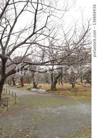 2024年，福岡，福岡市，風景，中央區，城堡，福岡城遺址，第51部分 136608438