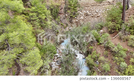stream in the mountains against the backdrop of nature spring in the mountains against the backdrop of nature. High quality photo stream in the mountains against the backdrop of nature spring in the mountains against the backdrop of nature. High quality photo 136608567