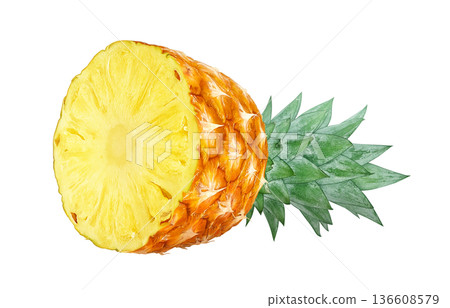 Pineapple illustration pineapple realistic 136608579