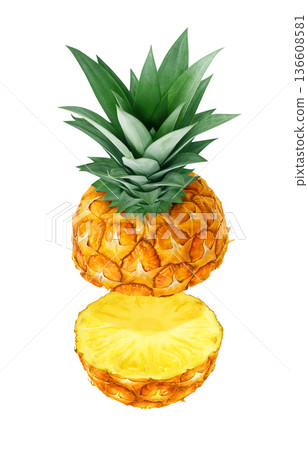 Pineapple illustration pineapple realistic 136608581
