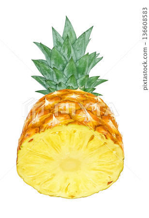 Pineapple illustration pineapple realistic Pineapple illustration pineapple realistic 136608583