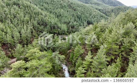 Forest river canyon sulfur, mineral, Forest river canyon sulfur, mineral, 136608597