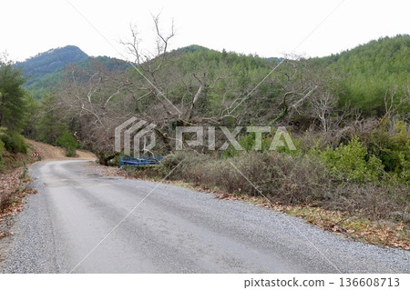 Rural gravel road. High quality photo Rural gravel road. High quality photo 136608713