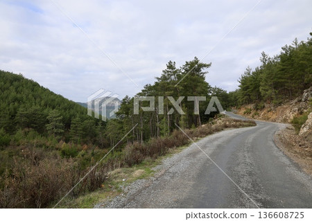 Rural gravel road. High quality photo Rural gravel road. High quality photo 136608725