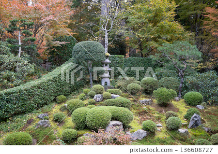 秋天日本庭院 秋天日本庭院 136608727