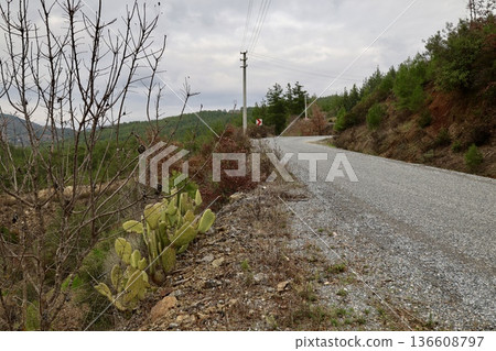 Rural gravel road. High quality photo Rural gravel road. High quality photo 136608797