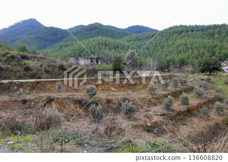 Rural gravel road. High quality photo Rural gravel road. High quality photo 136608820