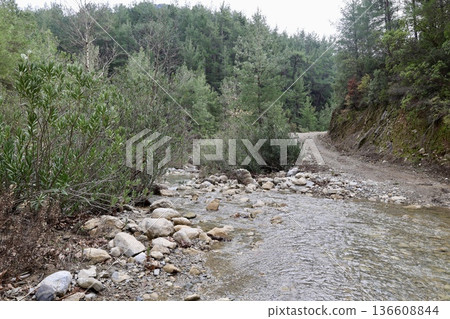 Forest stream path. High quality photo 136608844