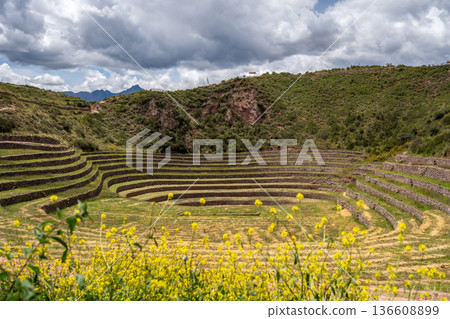 Inca agricultural terraces at Moray in the Sacred Valley, Peru 136608899