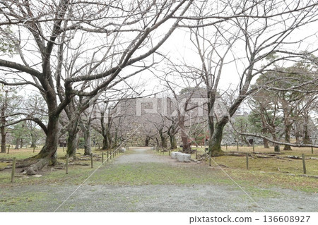 2024年,福岡,福岡市,景觀,中央區,城堡,福岡城遺址,第52部分 2024年,福岡,福岡市,景觀,中央區,城堡,福岡城遺址,第52部分 136608927
