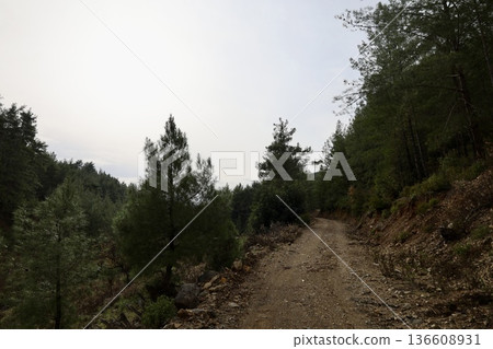 Rural gravel road. High quality photo 136608931