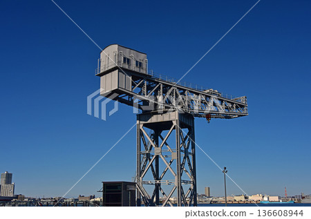 橫濱鎚頭鯊風景 136608944