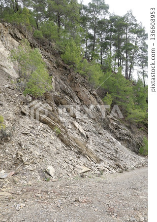 Rural gravel road. High quality photo 136608953