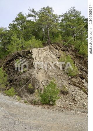 Rural gravel road. High quality photo 136608954
