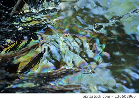 水面上漂浮的原油 136608966