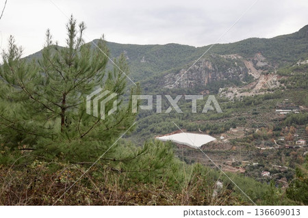 Mountain green landscape greenhouse. High quality photo Mountain green landscape greenhouse. High quality photo 136609013