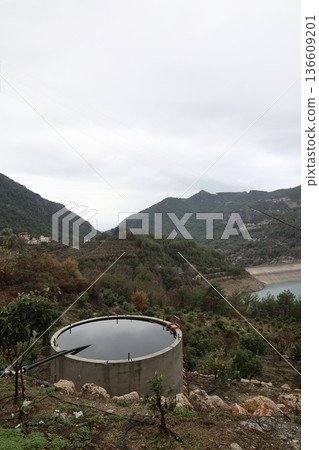 Mountain landscape vegetation. High quality photo Mountain landscape vegetation. High quality photo 136609201
