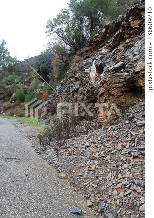 Pine trees mountains. High quality photo Pine trees mountains. High quality photo 136609210