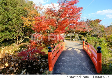 京都大澤池的秋天 136609223