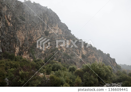 Misty rocky landscape. High quality photo Misty rocky landscape. High quality photo 136609441
