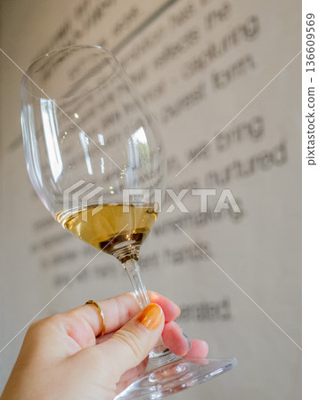 婦女的手用香檳杯 婦女的手用香檳杯 136609569