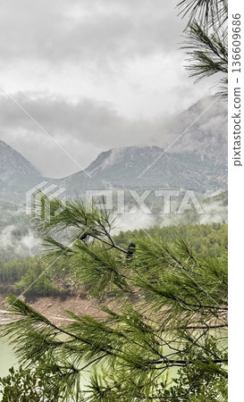 Mountain lake forest. High quality photo 136609686
