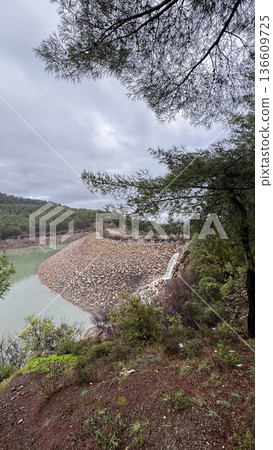 Lake forest mountains. High quality photo Lake forest mountains. High quality photo 136609725