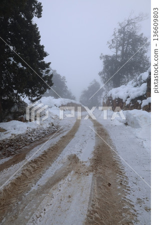 Foggy snowy road. High quality photo Foggy snowy road. High quality photo 136609803
