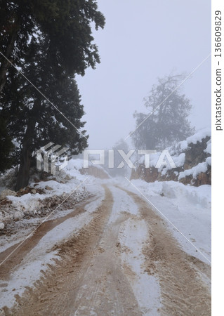 Foggy snowy road. High quality photo 136609829