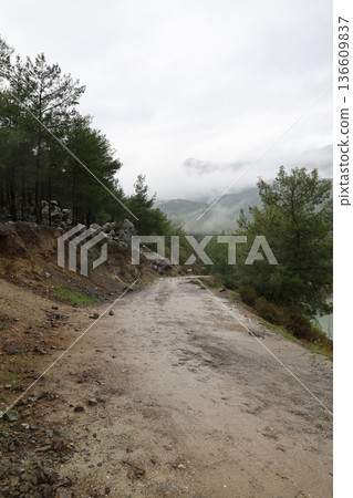 Misty mountain road. High quality photo 136609837