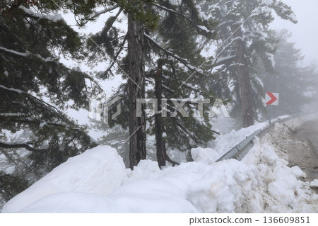 Foggy snowy road. High quality photo Foggy snowy road. High quality photo 136609851