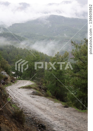 Misty mountain road. High quality photo 136609862