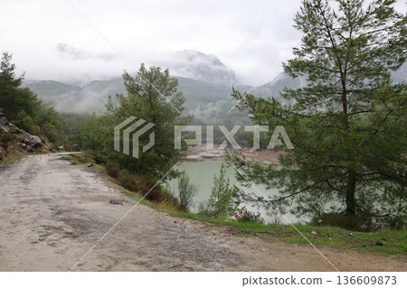 Lake forest mountains. High quality photo Lake forest mountains. High quality photo 136609873