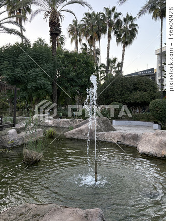 park tropical plants resort landscape. High quality photo park tropical plants resort landscape. High quality photo 136609928