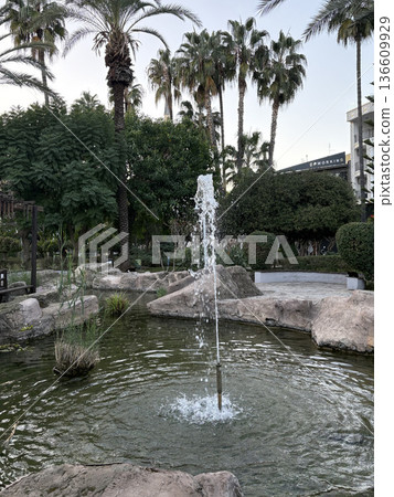 park tropical plants resort landscape. High quality photo park tropical plants resort landscape. High quality photo 136609929
