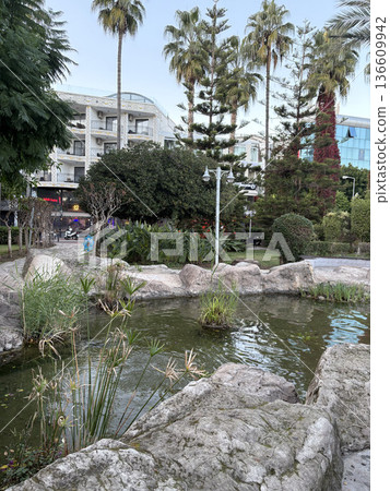 park tropical plants resort landscape. High quality photo park tropical plants resort landscape. High quality photo 136609942