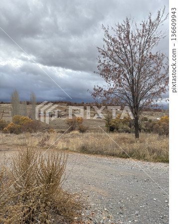 autumn field dry grass bare tree clouds. High quality photo autumn field dry grass bare tree clouds. High quality photo 136609943
