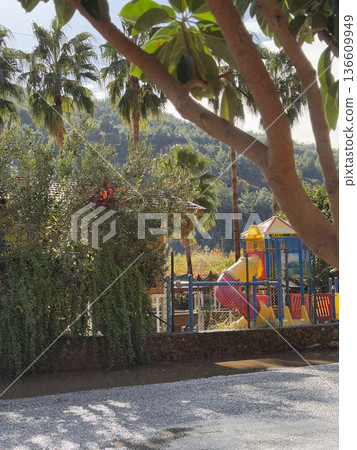 forest, tree, wood 136609949