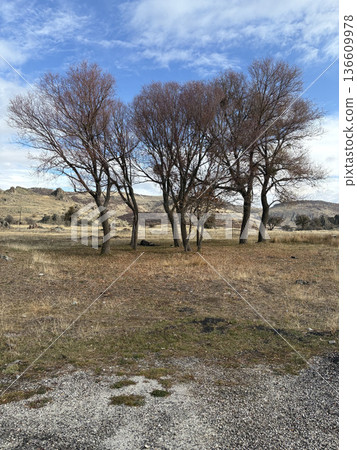 autumn field dry grass bare tree clouds. High quality photo autumn field dry grass bare tree clouds. High quality photo 136609978