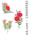 Carnation material perfect for Mother's Day 136609983