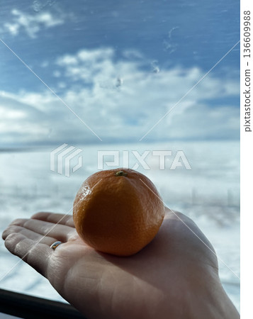 tangerine on hand winter mood background. High quality photo tangerine on hand winter mood background. High quality photo 136609988