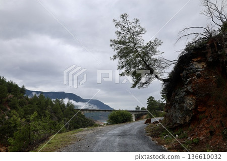 Misty mountain road. High quality photo Misty mountain road. High quality photo 136610032