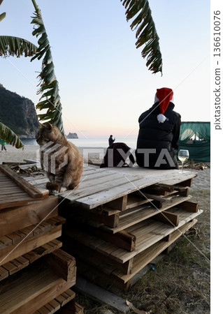 street cat walks through the evening city. High quality photo 136610076