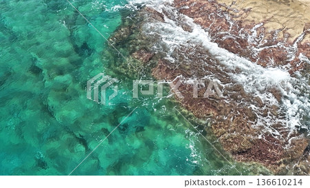 Cliffside forest coastline. High quality photo Cliffside forest coastline. High quality photo 136610214