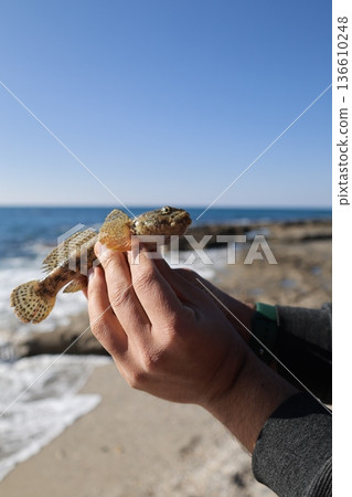 Beach hand fish. High quality photo Beach hand fish. High quality photo 136610248
