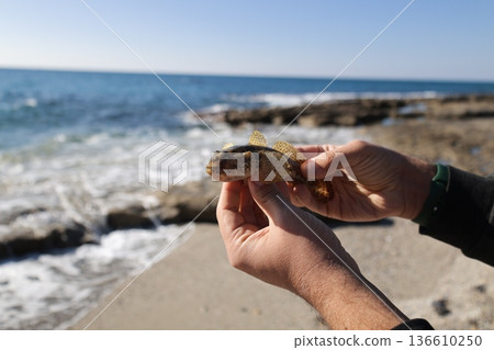 Beach hand fish. High quality photo 136610250