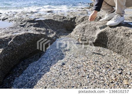Beach hand fish. High quality photo Beach hand fish. High quality photo 136610257
