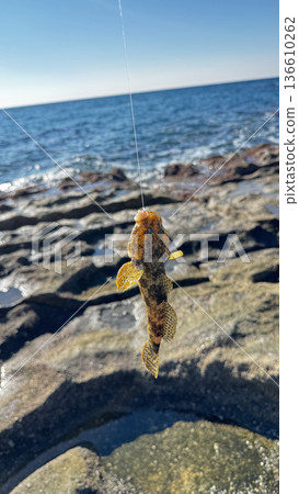 Beach hand fish. High quality photo 136610262