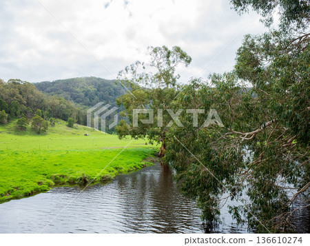 與池塘的風景 與池塘的風景 136610274